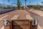 Horseshoes and Cornhole