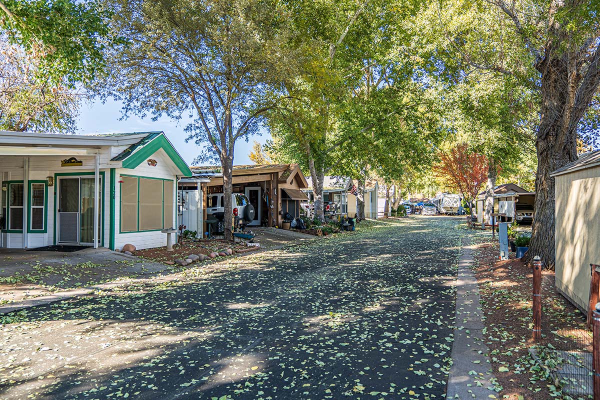 Lamplighter RV Resort & Park's shady tree-lined streets