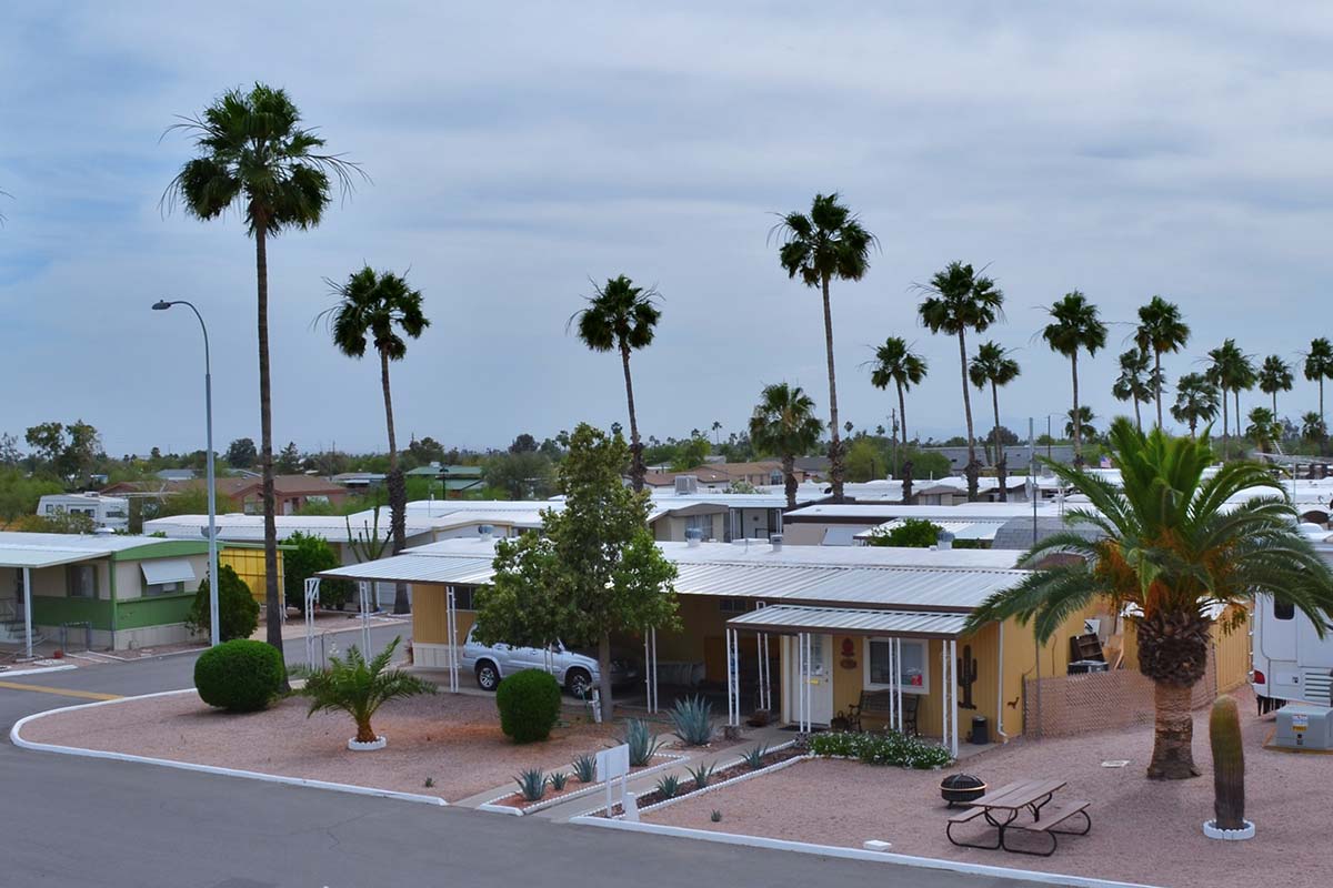 Tall palm trees line the paved streets at Sierra Leone RV Park