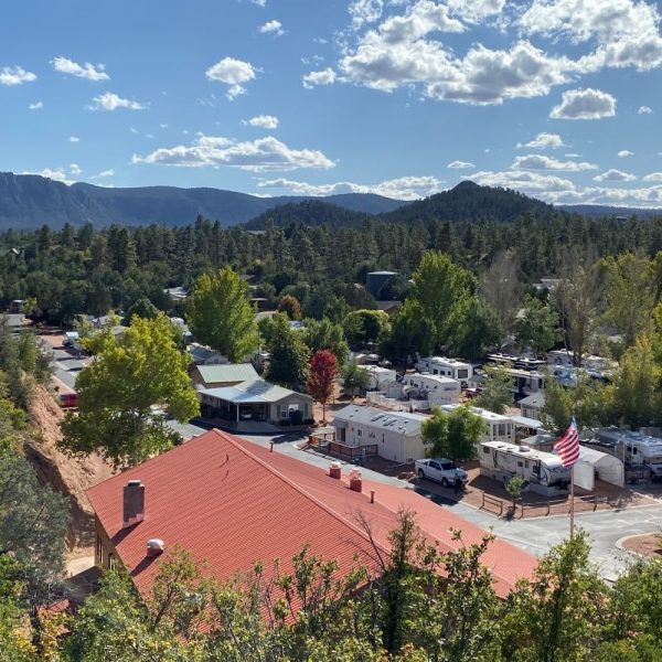 Mobilehome park within forest, background mountains