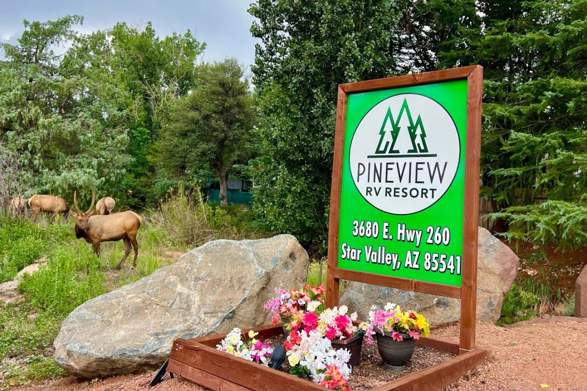 RV Resort & 55+ Community in Star Valley AZ Pineview RV Resort